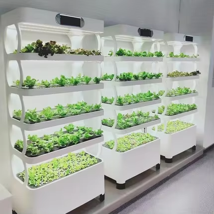 Greenhouse Mini Indoor - Mini Hydroponisches Anbausystem Indoor-Gemüseanbauschrank mit LED-Beleuchtung