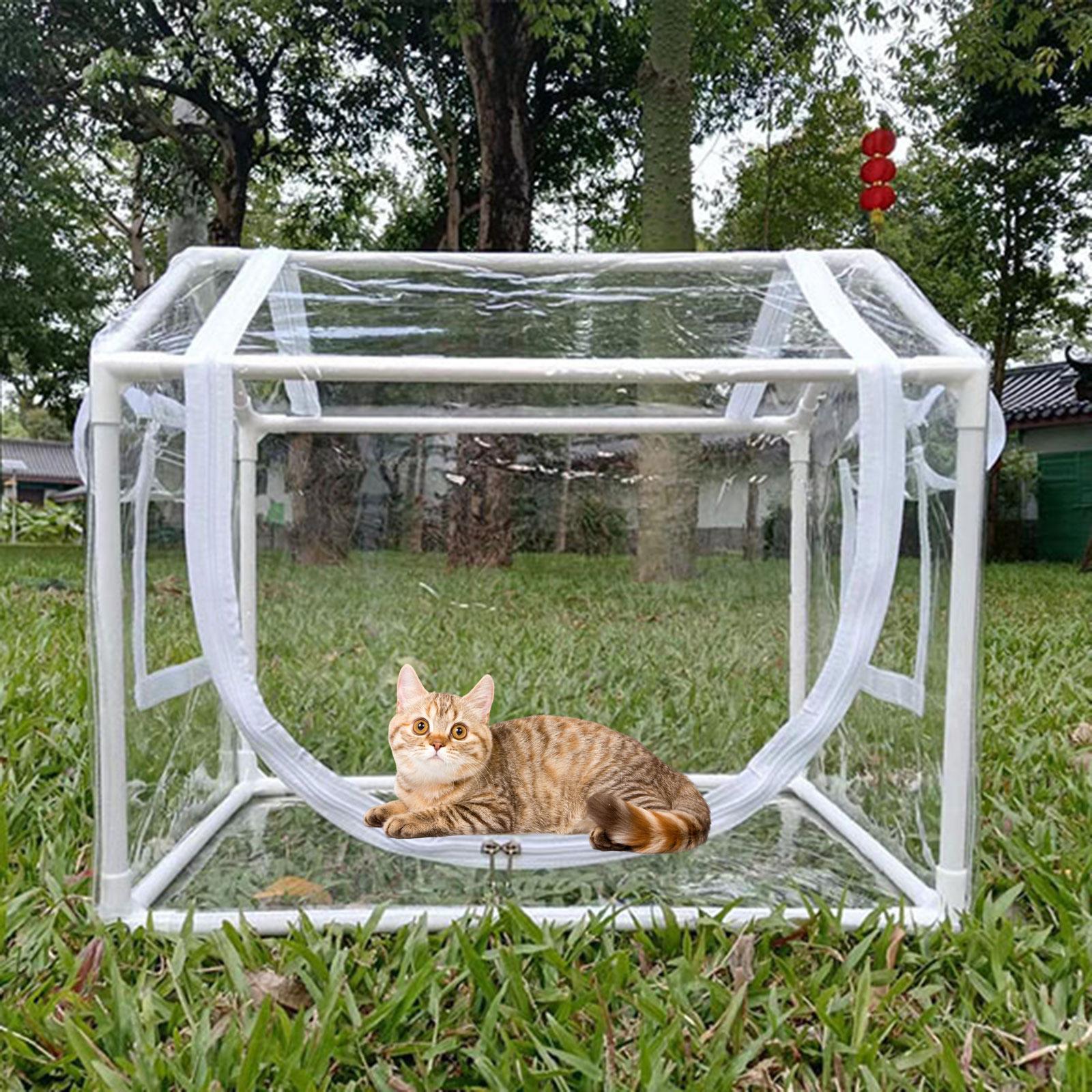 Greenhouse Mini Indoor - Kleines PVC-Mini-Gewächshaus Kälteresistentes Transparentes Pflanzenhaus für