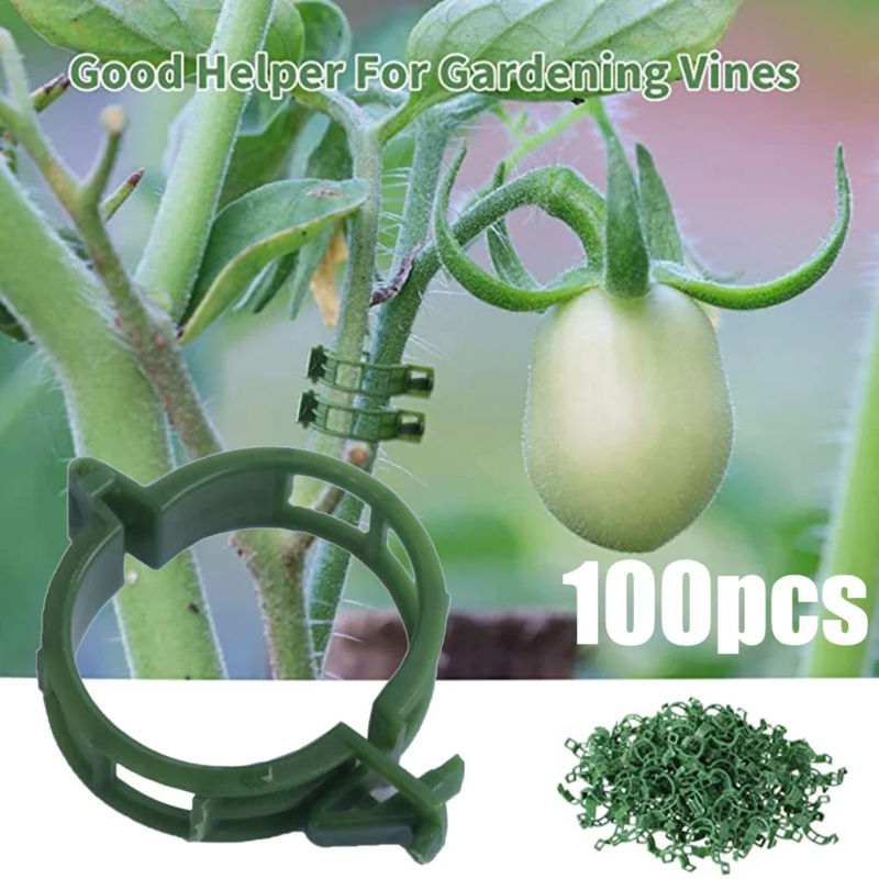 Gardening Tools Range - 100 Stück/Pflanzens tützclip Kunststoff binder Gitter