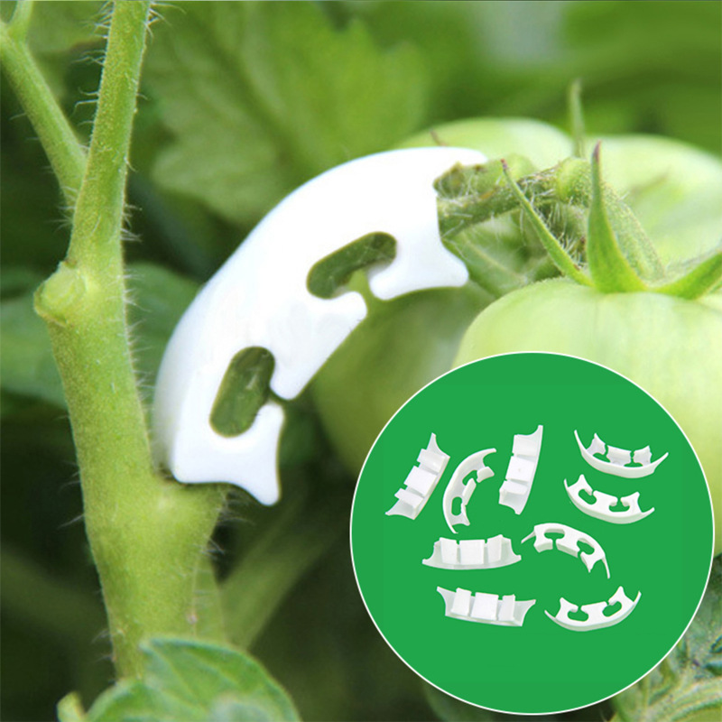 Gardening Tools Range - 50/100 stücke Botanik-stem Reben Umreifung Clips