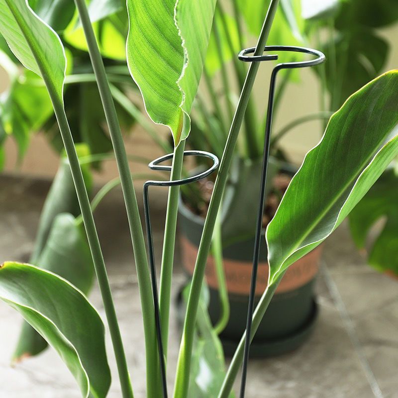 1/10 stücke Garten Unterstützu – Gardening Tools Range Bewertung und Preis