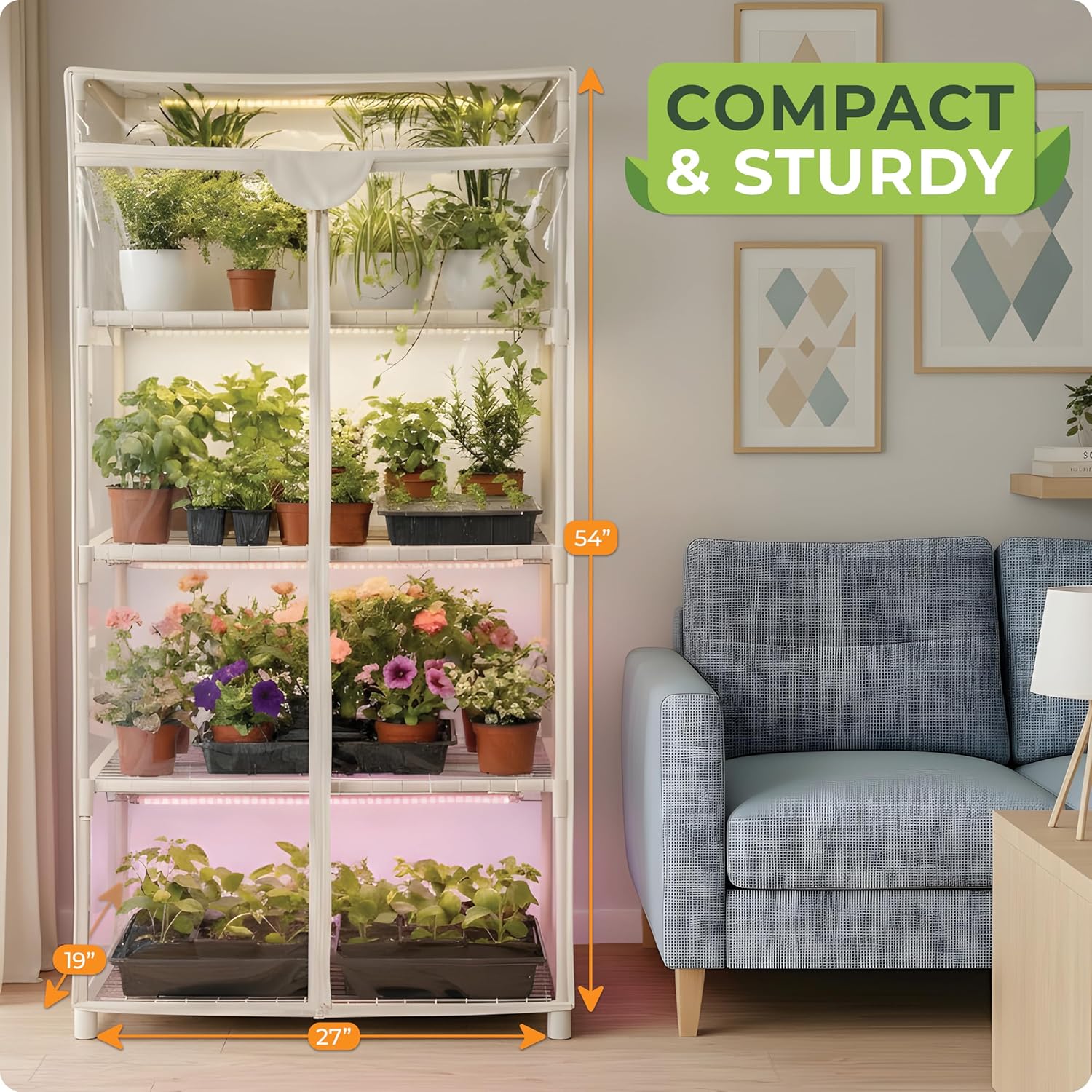 Mini-Gewächshaus für Zimmerpfl – Greenhouse Mini Indoor Bewertung und Preis