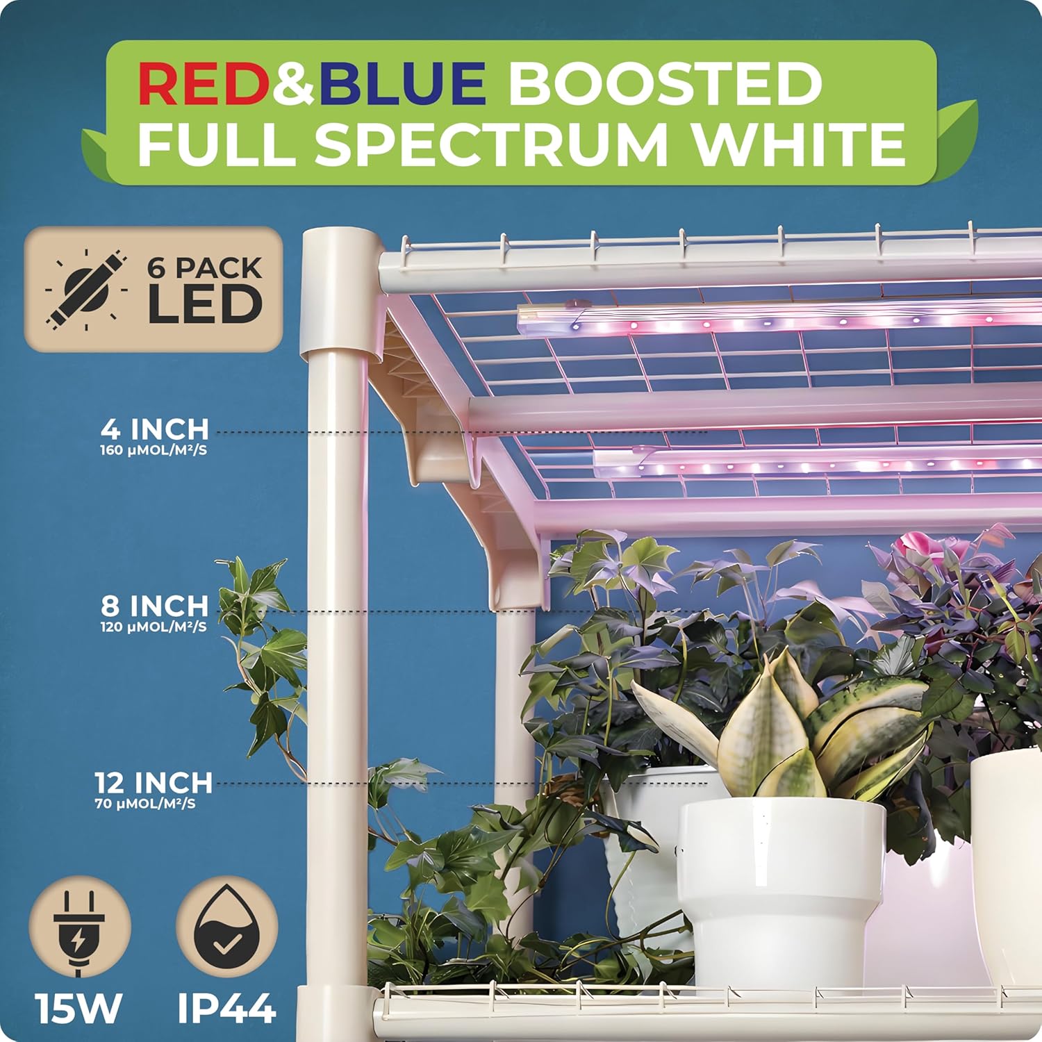 Mini-Gewächshaus für Zimmerpfl – Greenhouse Mini Indoor Bewertung und Preis