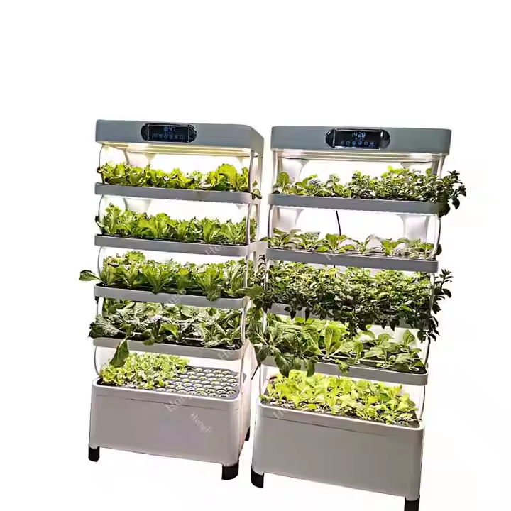 Mini Hydroponisches Anbausyste – Greenhouse Mini Indoor Bewertung und Preis