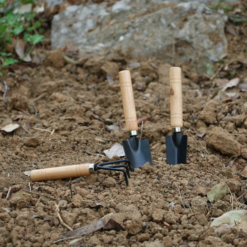 3 Teile/satz Mini Garten Werkz – Gardening Tools For Weeds Bewertung und Preis