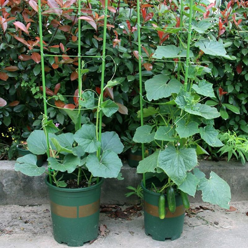 45cm Pflanzenstütze Pflanzenst – Gardening Tools Range Bewertung und Preis