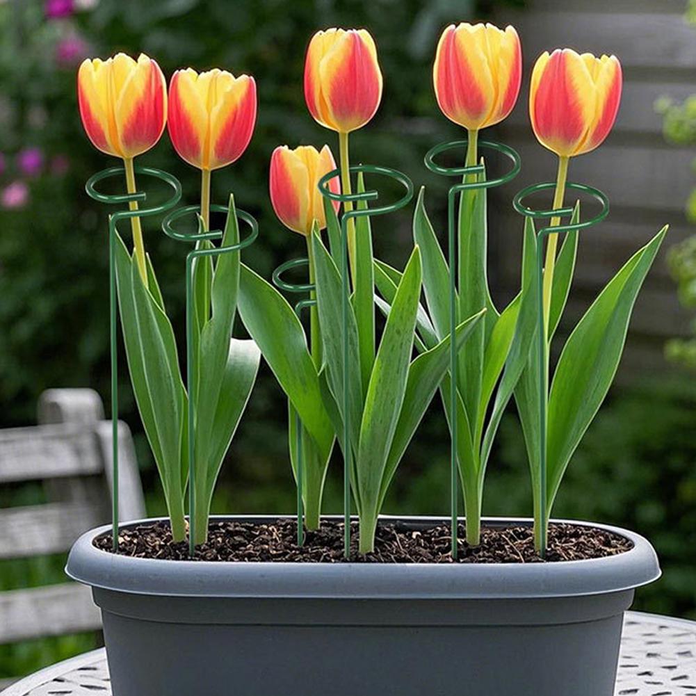 Metall-Pflanzenstützstäbe Gart – Gardening Tools Range Bewertung und Preis
