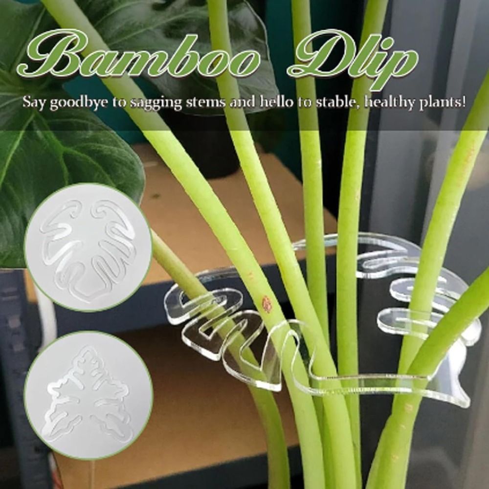 1/2PCS Wiederverwendbare Schil – Gardening Tools Range Bewertung und Preis