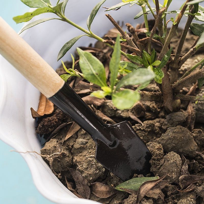 3-teiliges Mini-Gartengeräte-S – Gardening Tools For Weeds Bewertung und Preis