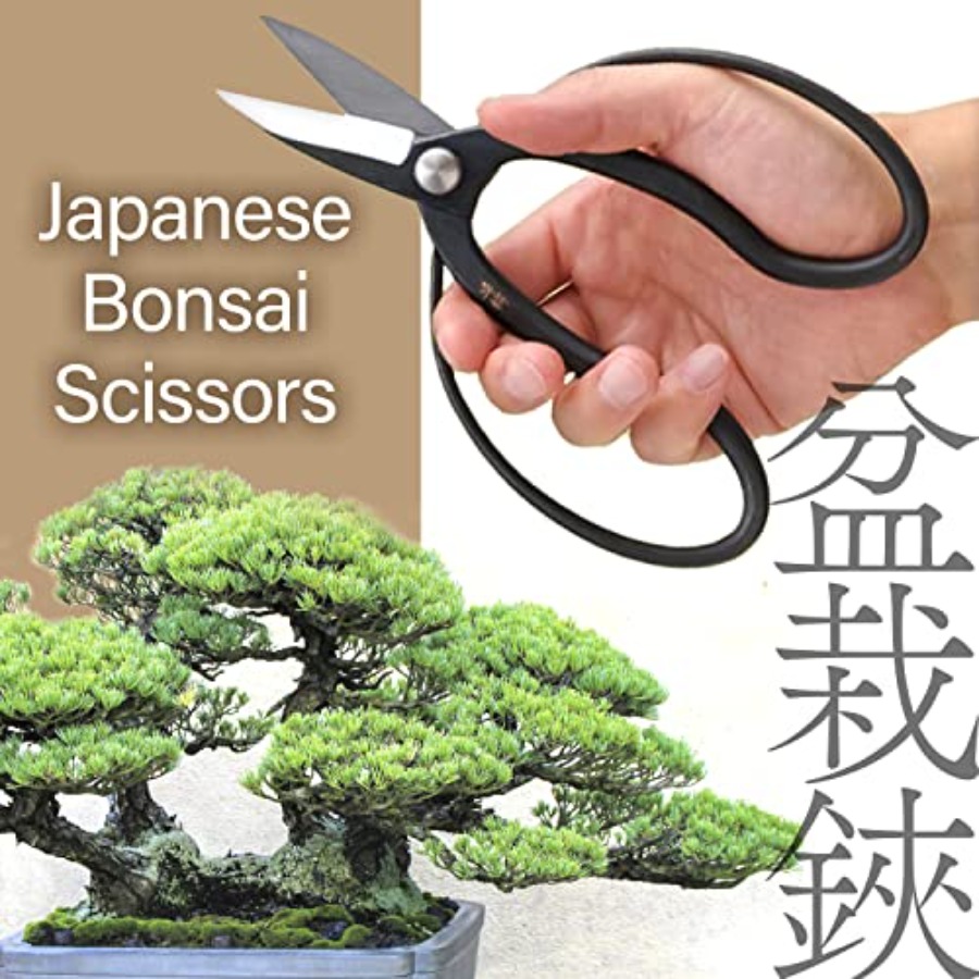 Japanische Suiryu Bonsai-Scher – Gardening Tools Made In Japan Bewertung und Preis