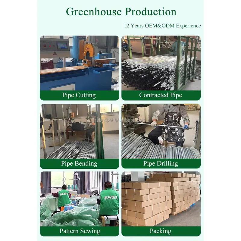 Tragbares Mini-Gewächshaus-Zel – Greenhouse Mini Indoor Bewertung und Preis