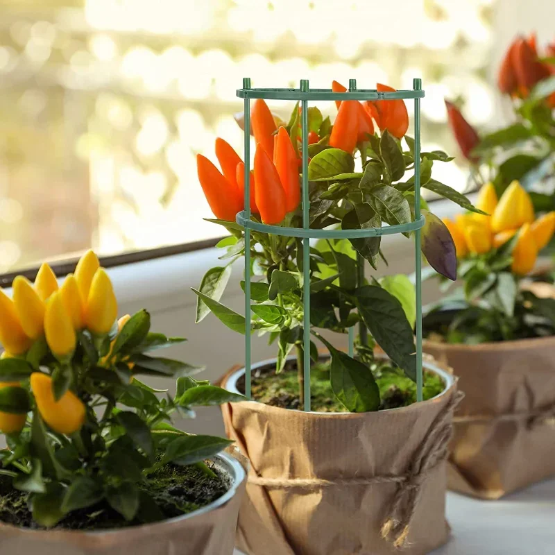 Kunststoff-Pflanzenstützpfahls – Gardening Tools Range Bewertung und Preis
