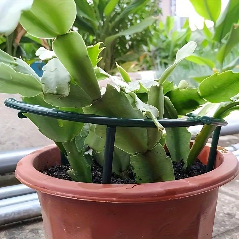 30-1 Stück Kunststoff-Pflanzen – Gardening Tools Range Bewertung und Preis