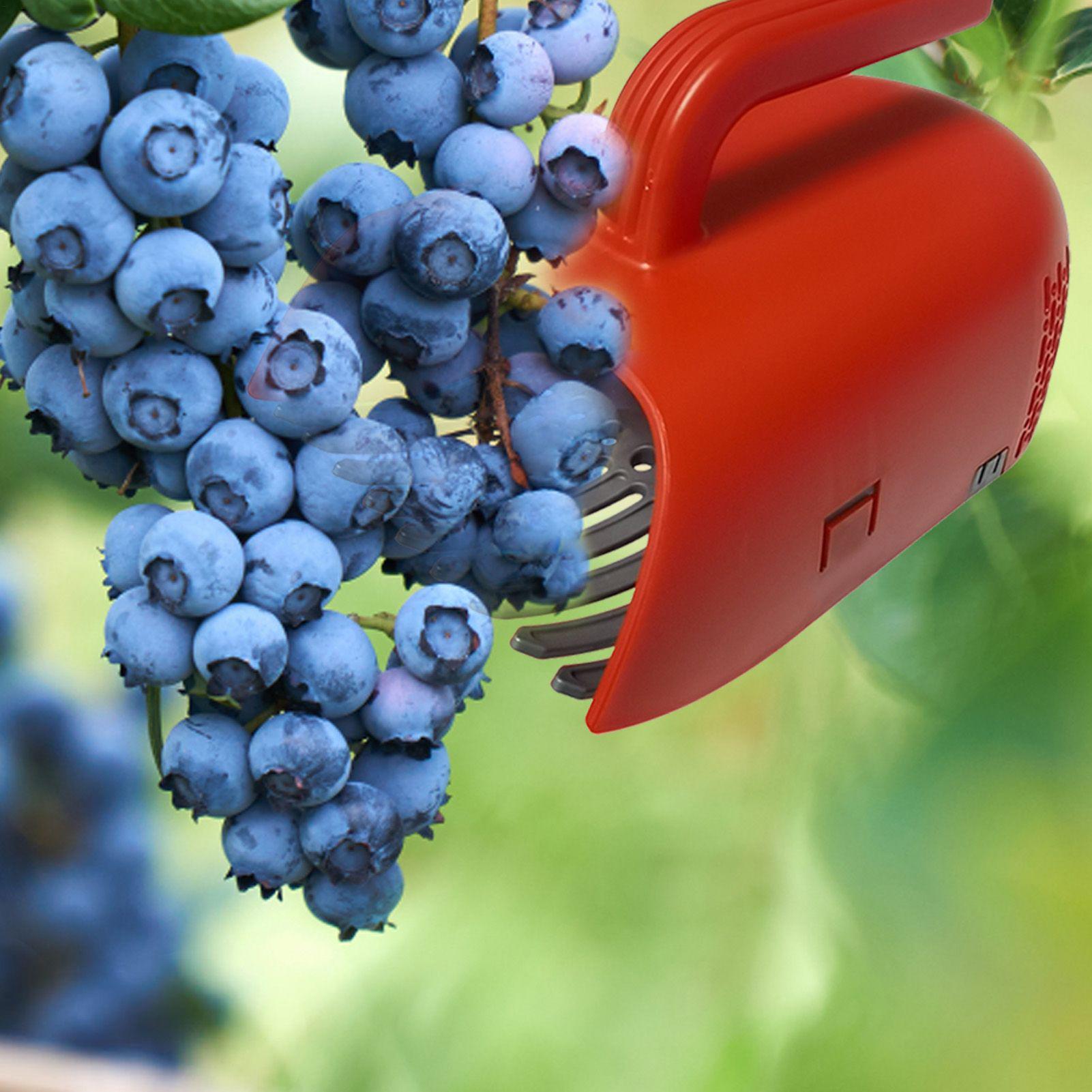 Beerenpflücker mit Ergonomisch – Gardening Tools Rake Bewertung und Preis
