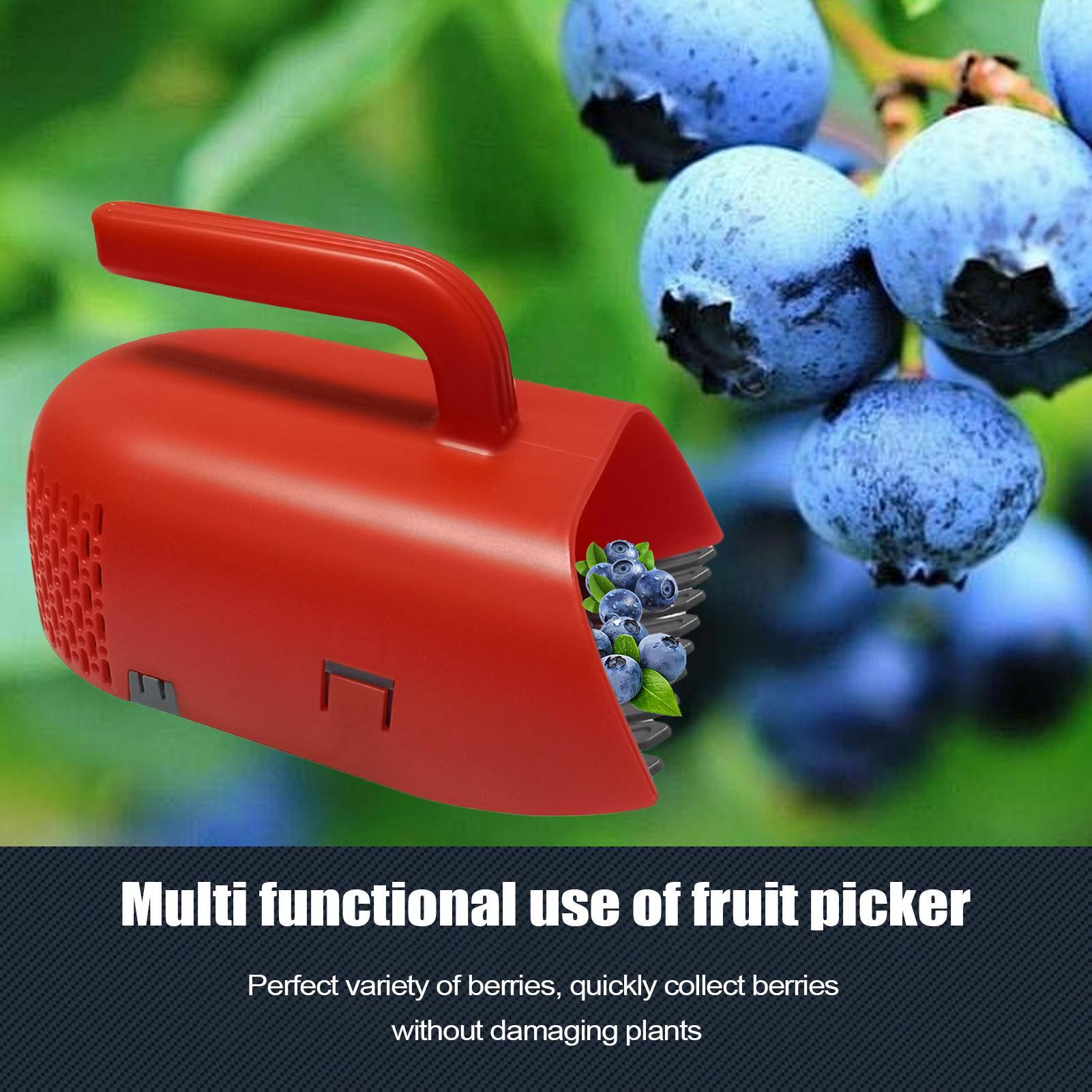 Beerenpflücker mit Ergonomisch – Gardening Tools Rake Bewertung und Preis