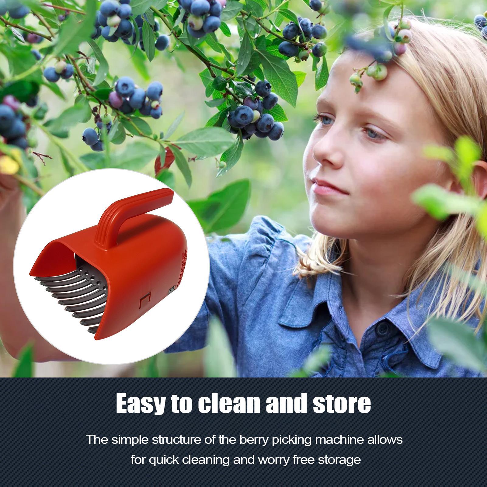 Beerenpflücker mit Ergonomisch – Gardening Tools Rake Bewertung und Preis