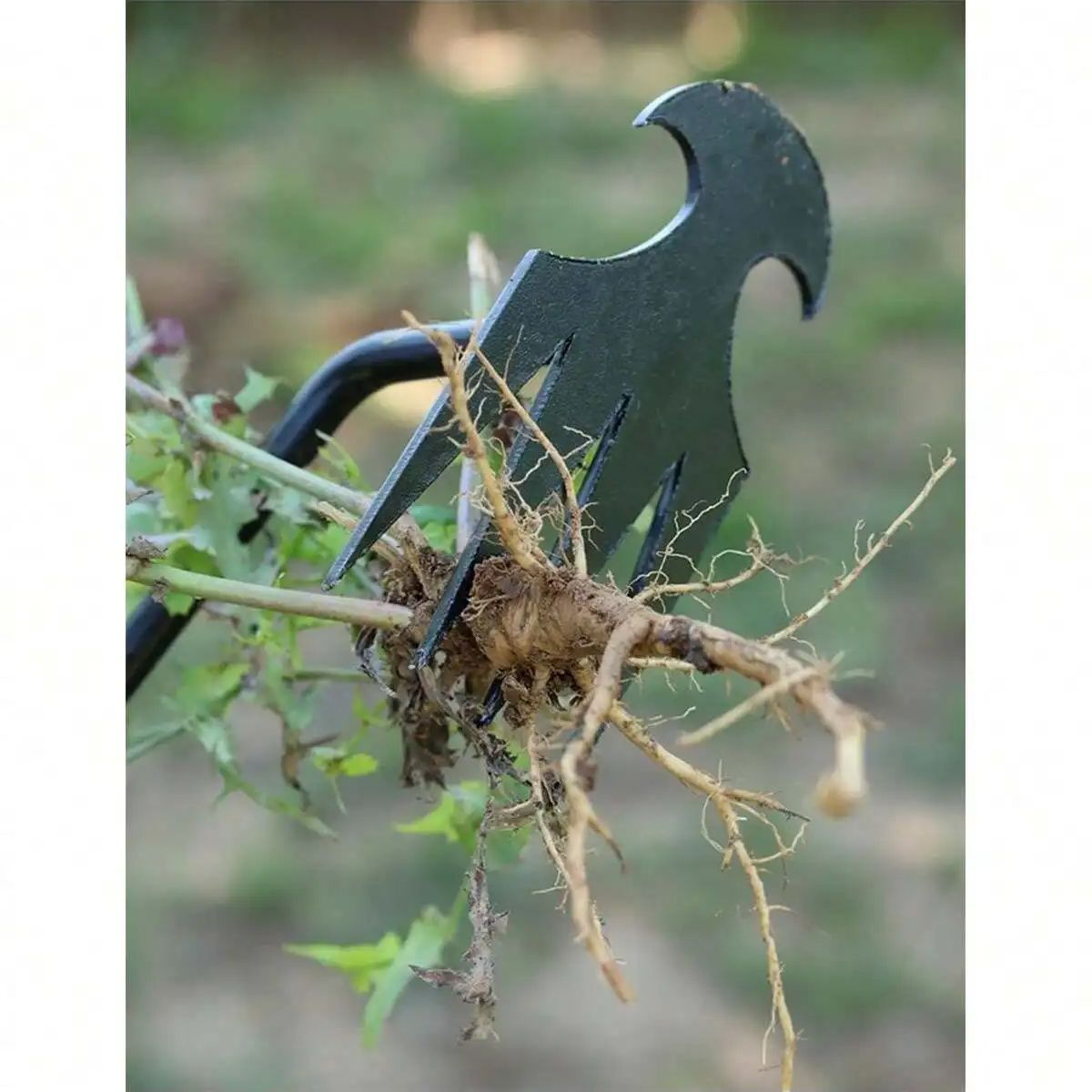 4 Zähne – Multifunktionaler Ha – Gardening Tools For Weeds Bewertung und Preis