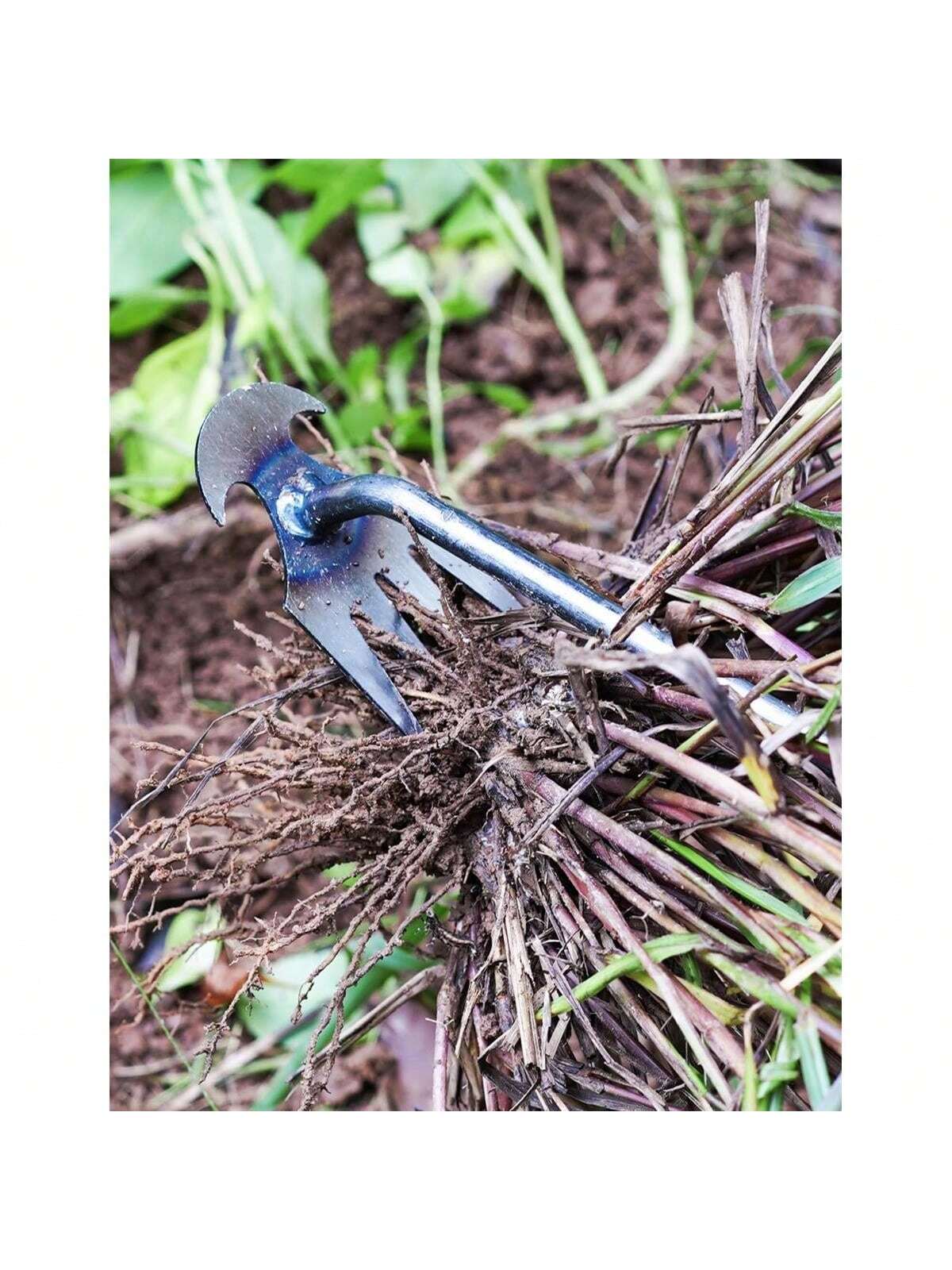 4 Zähne – Multifunktionaler Ha – Gardening Tools For Weeds Bewertung und Preis
