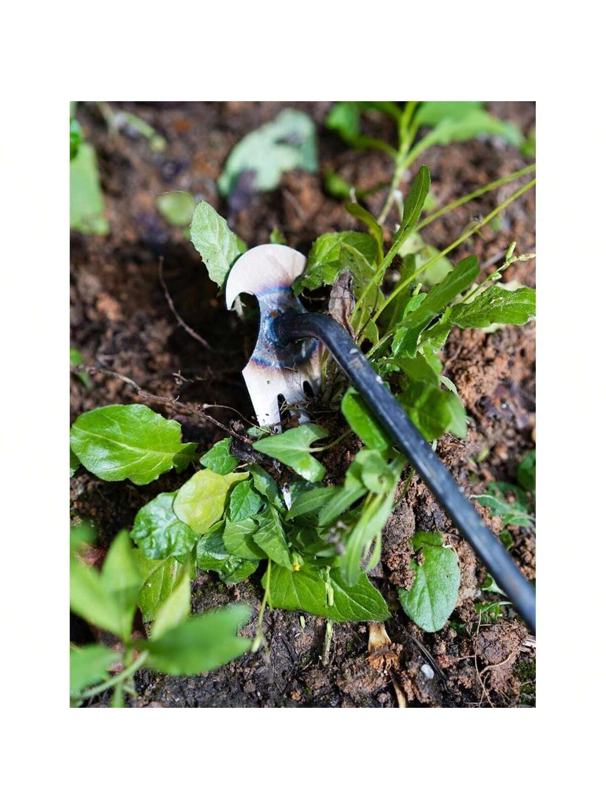 4 Zähne – Multifunktionaler Ha – Gardening Tools For Weeds Bewertung und Preis